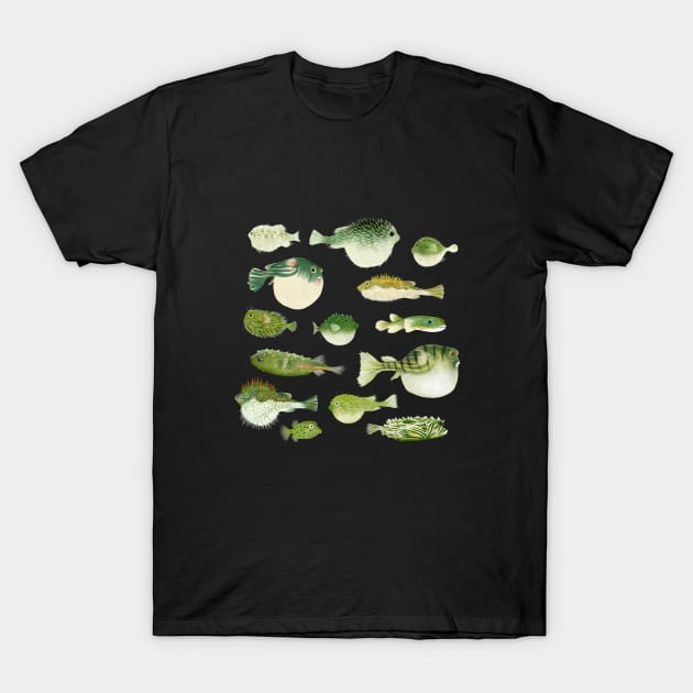 Puffer Fish T-Shirt by katherinequinnillustration